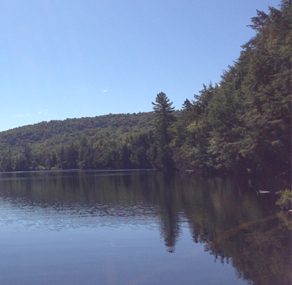 Terrains sur le Lac Clment